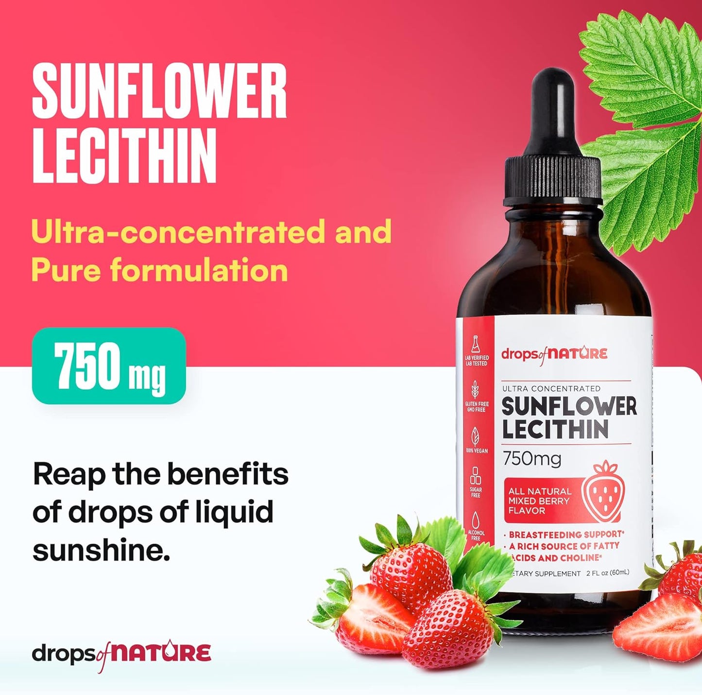 Sunflower Lecithin