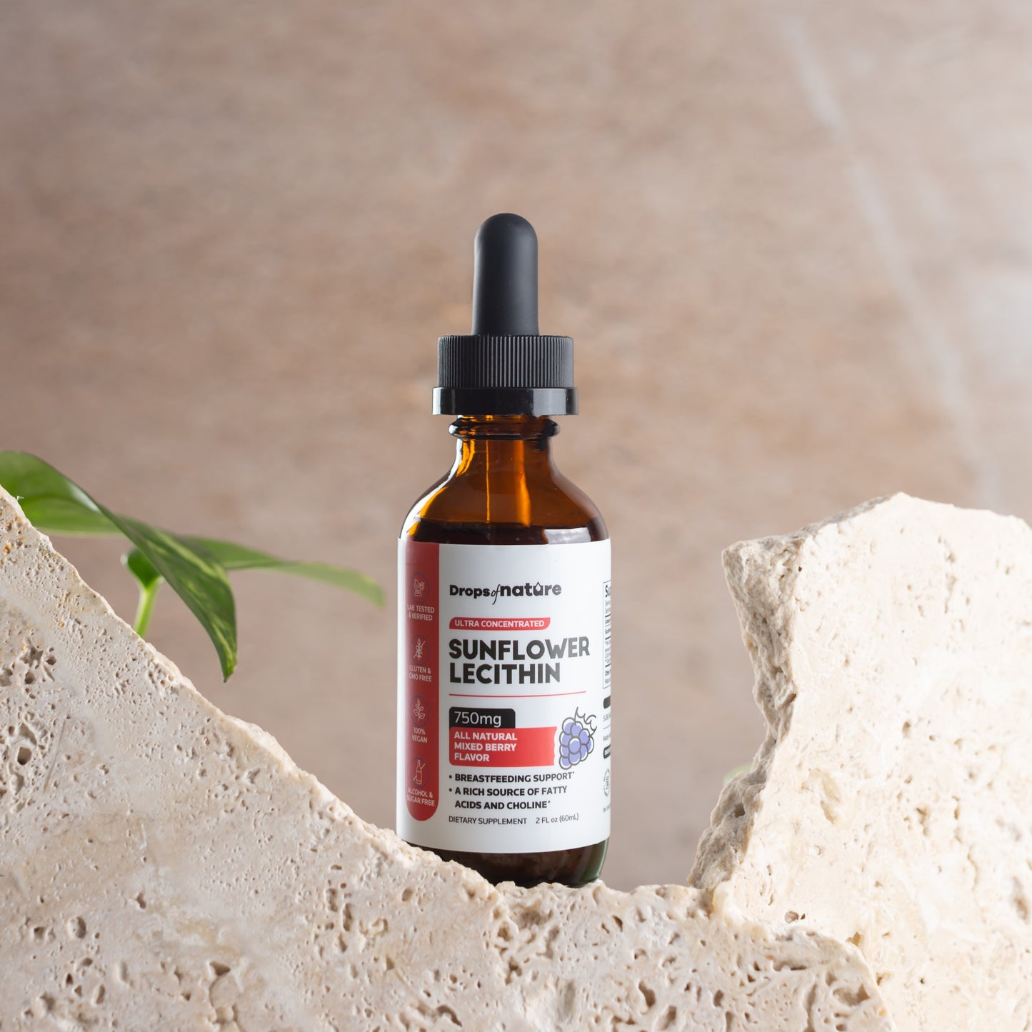 Sunflower Lecithin